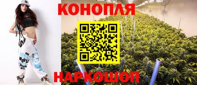 гидра Будённовск