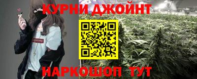 гидра Будённовск