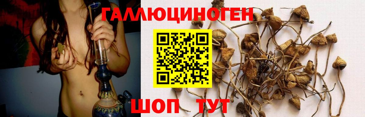 Псилоцибиновые грибы ЛСД Петропавловск-Камчатский